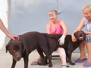 Animal Shemale Porn